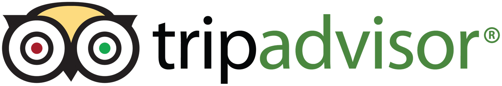TripAdvisor logo scaled
